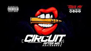 Música De Antro Noviembre 2020 Circuit After Mix (Dj Erick Mix )