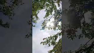 Just Being Happy  happiness