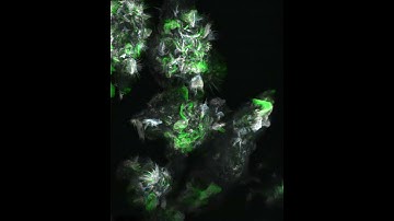 HyperColour - the making of 