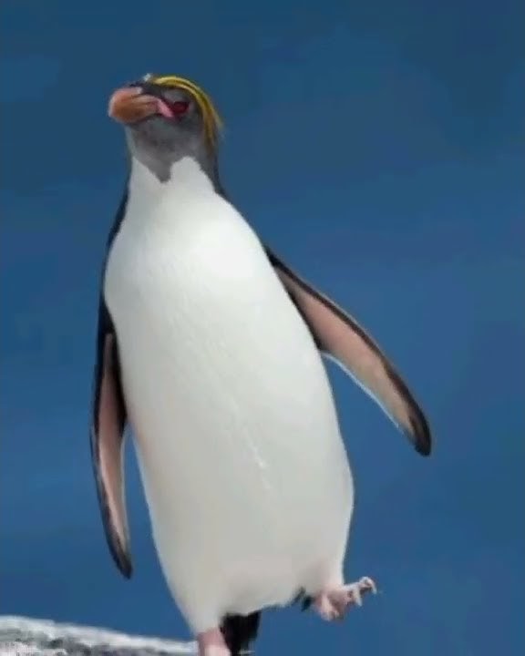 Kaela Kovalskia HoloID real face (Watch at your own risk)