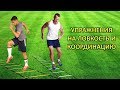 Упражнения на ловкость и координацию / Exercises in agility and coordination