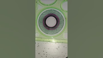 Beautiful Spirograph #art #3dart #easy #short #asmr #usa #youtubeshort #trending ##satisfying #vlog