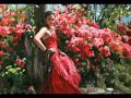Francis  Goya - Million Scarlet Roses