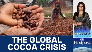 Chocolate to Get More Expensive? Why Are Cocoa Prices Breaking Records? |Vantage with Palki Sharma