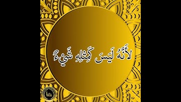 *قال الله تعالى: { لَيْسَ كَمِثْلِهِ شَيْءٌ وَهُوَ السَّمِيعُ الْبَصِيرُ } [ سورة الشورى : 11 ]*