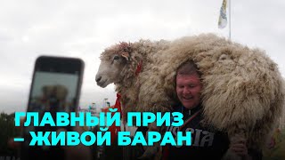 Сабантуй-2023: как отмечают татарский праздник в Новосибирской области