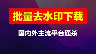 【付费】批量去水印下载，ins，tiktok，YouTube，抖音，西瓜视频等等