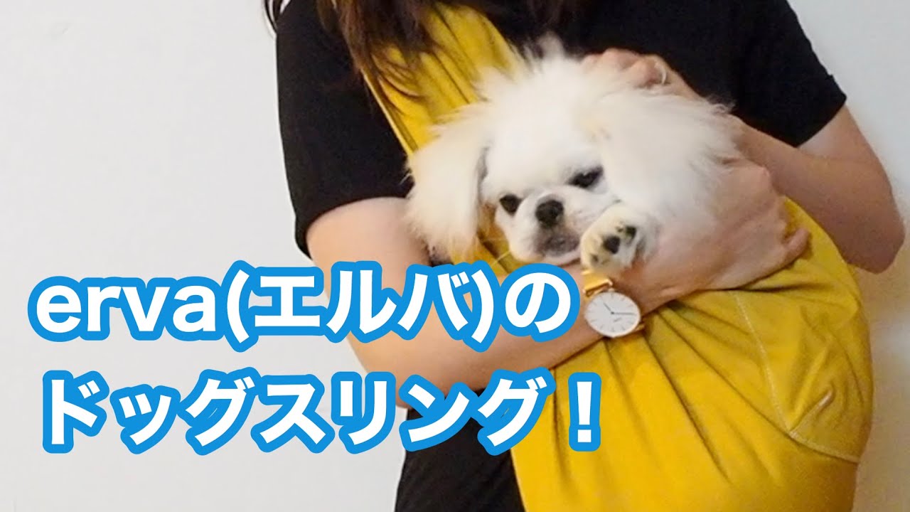 マンダリンブラザーズ Dog Sling Forest Green L フォレストグリーン L サイズの価格と最安値 おすすめ通販を激安で