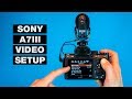 How to Setup Your Camera for Video — Sony A7III Tutorial