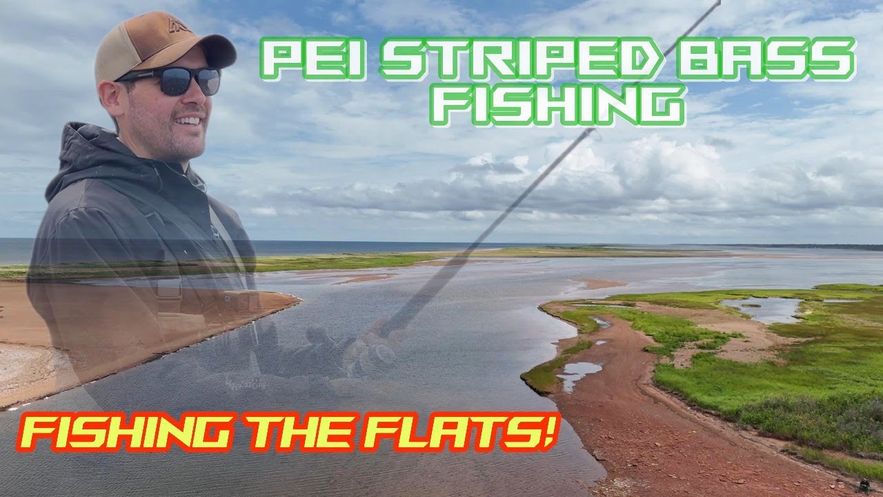 Epic FLATS Fishing Adventure! PEI Striped Bass Fishing!