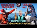 СЕВЕР ДО ВСТРЕЧИ | КАСАТКИ проводили | ПОСЛЕДНЯЯ РЫБАЛКА НА ЛОФОТЕНСКИХ ОСТРОВАХ | БЕРГЕН ЖДИ НАС