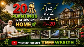 20 - Tree Planting Mistakes That Can Damage Your Home