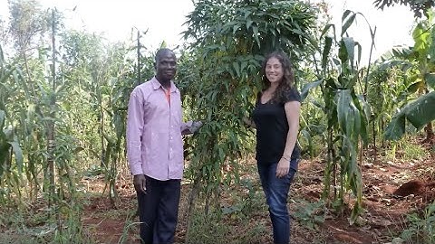 Amanda Sames: Digital Story