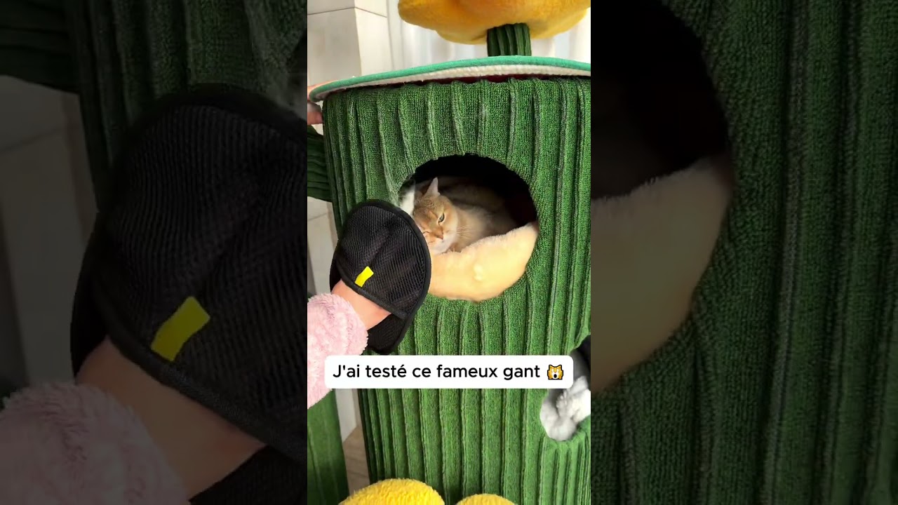 Le Comptoir Animalier FurFree - Gant Anti-Poils Réutilisable