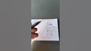 NHAY 3 PRO MUSIC MOTORCYCLE WIRING DIAGRAM #nhay3promusic #hornmusic #mananapsagensan