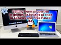 Setting Form properties in groups, by tags at once in Lazarus and Free Pascal #lazarus #freepascal