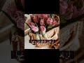 استوريات انستا صور مكتوب عليها استوريات انستا صور مكتوب عليها