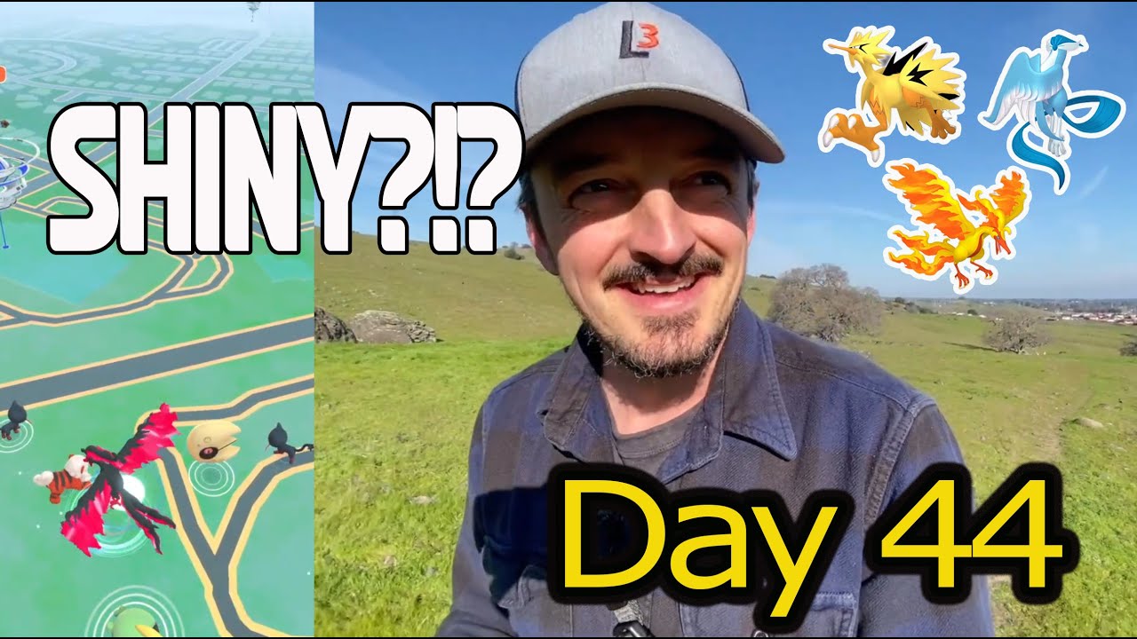 Another Bird Encounter!!  Also Lots of Cows and a NEW Pokestop!