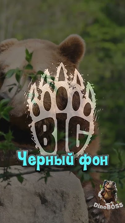 ЛУЧШИЕ ЧЕРНЫЕ СТИКЕРЫ КС | ЧЕРНЫЕ НАКЛЕЙКИ ДЛЯ КРАФТА CS #shorts #cs2 # ...