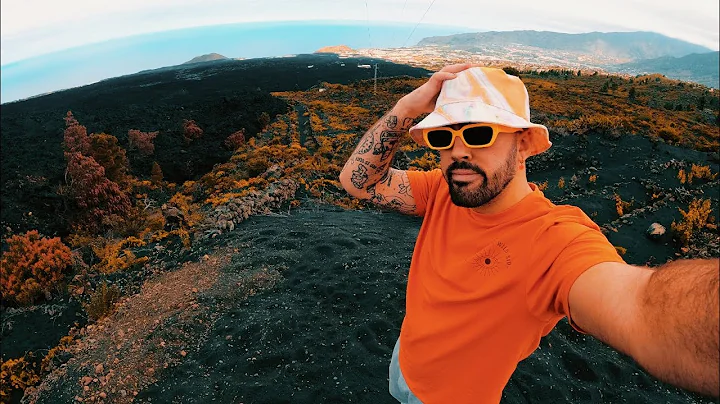 AS QUED LA ISLA DE LA PALMA DESPUS DE LA ERUPCIN