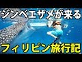 【2泊3日】フィリピン・セブ島で夏季休暇 ジンベエザメと泳ぐ 10/17-101