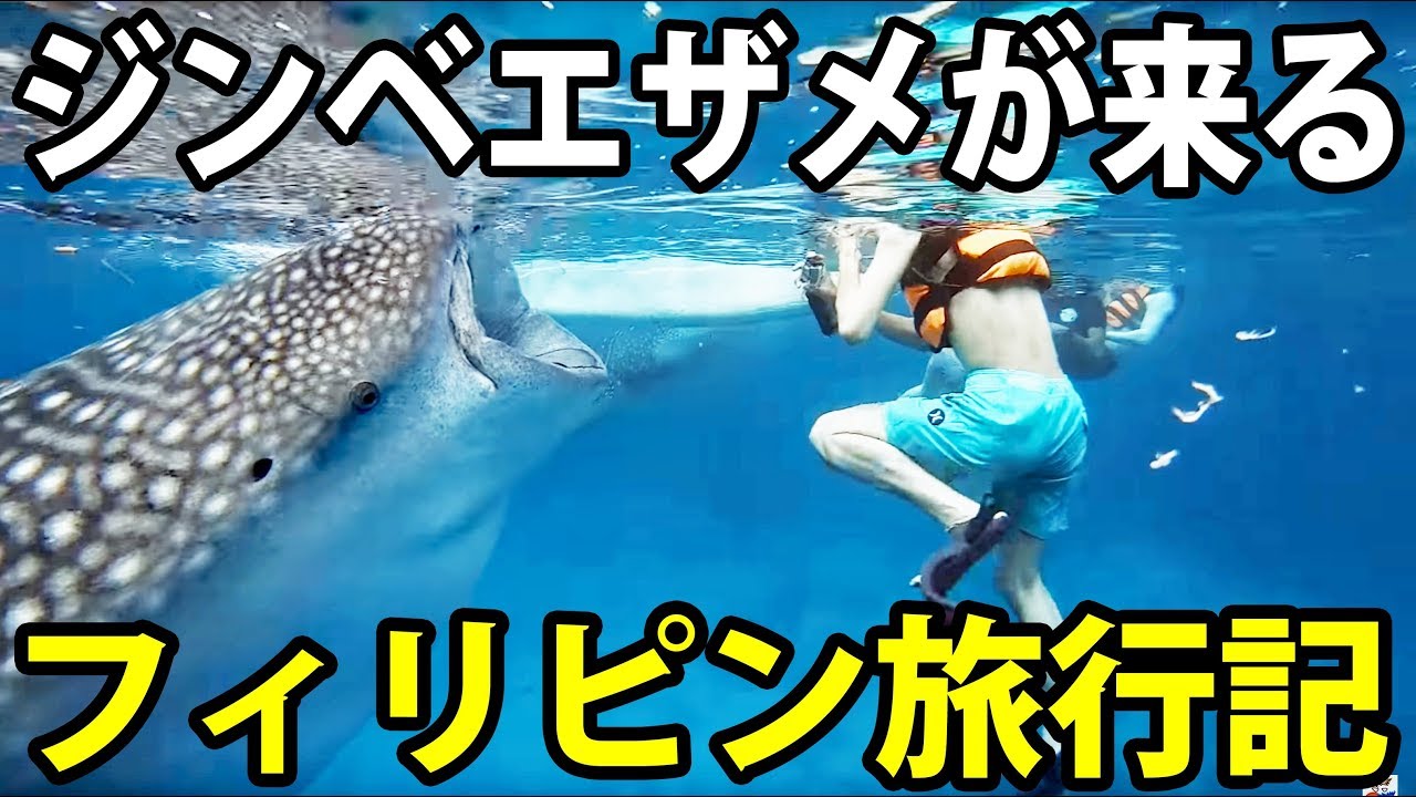 【2泊3日】フィリピン・セブ島で夏季休暇 ジンベエザメと泳ぐ 10/17-101