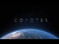 Coyotes