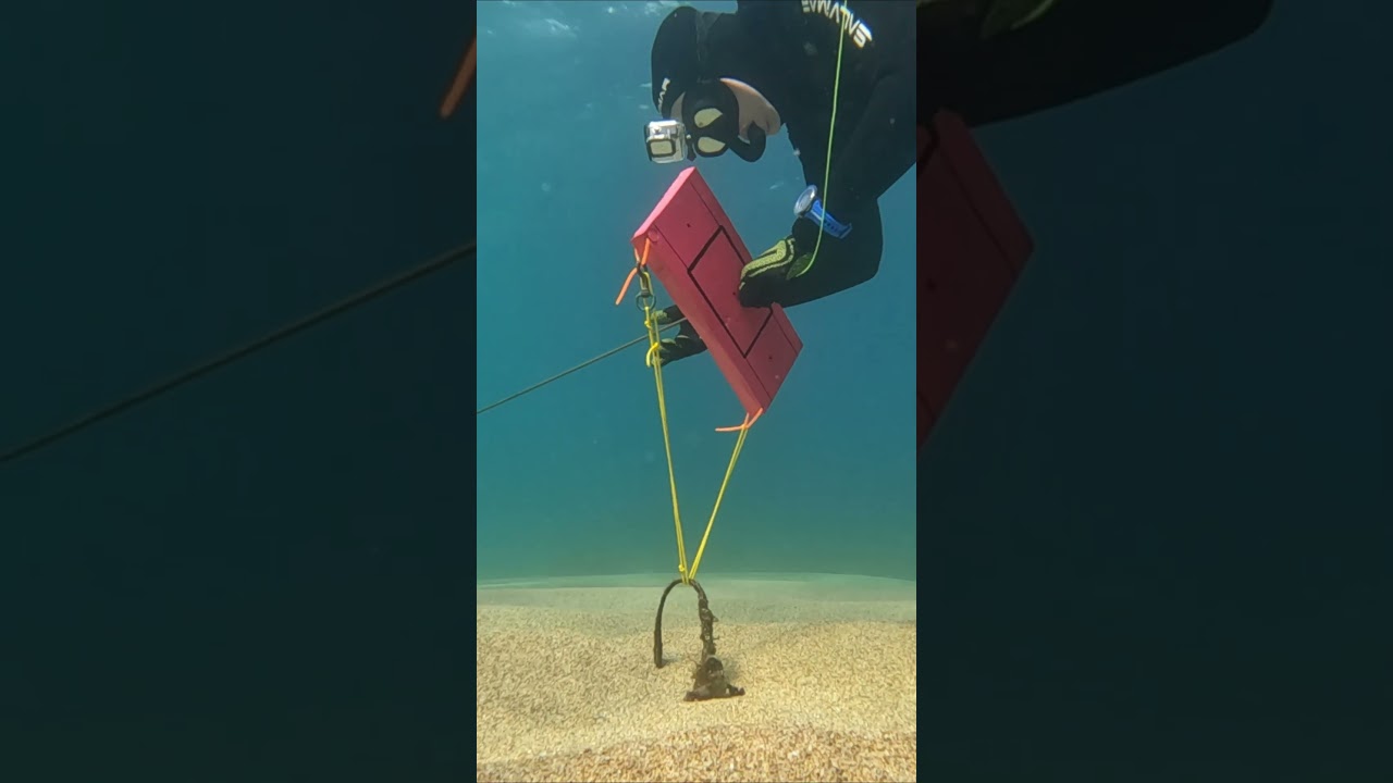 Creo que este arpón dispara mal...