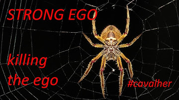 STRONG EGO III: Killing the ego [3D]
