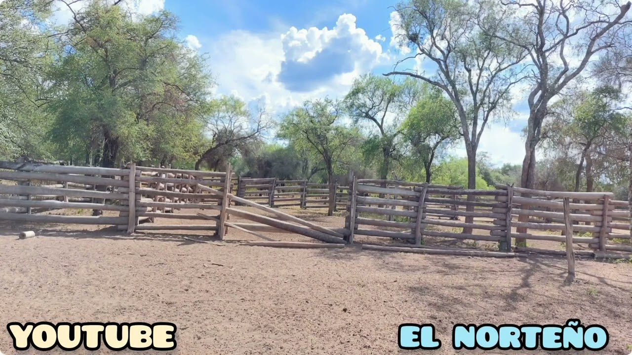 PEDRO VILLA Y SU VIOLIN DEL MONTE...