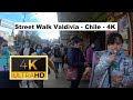 🇨🇱 Street Walk Valdivia - Chile - 4K