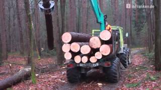 Das Warten auf den Frost - Probleme für die Holzfäller