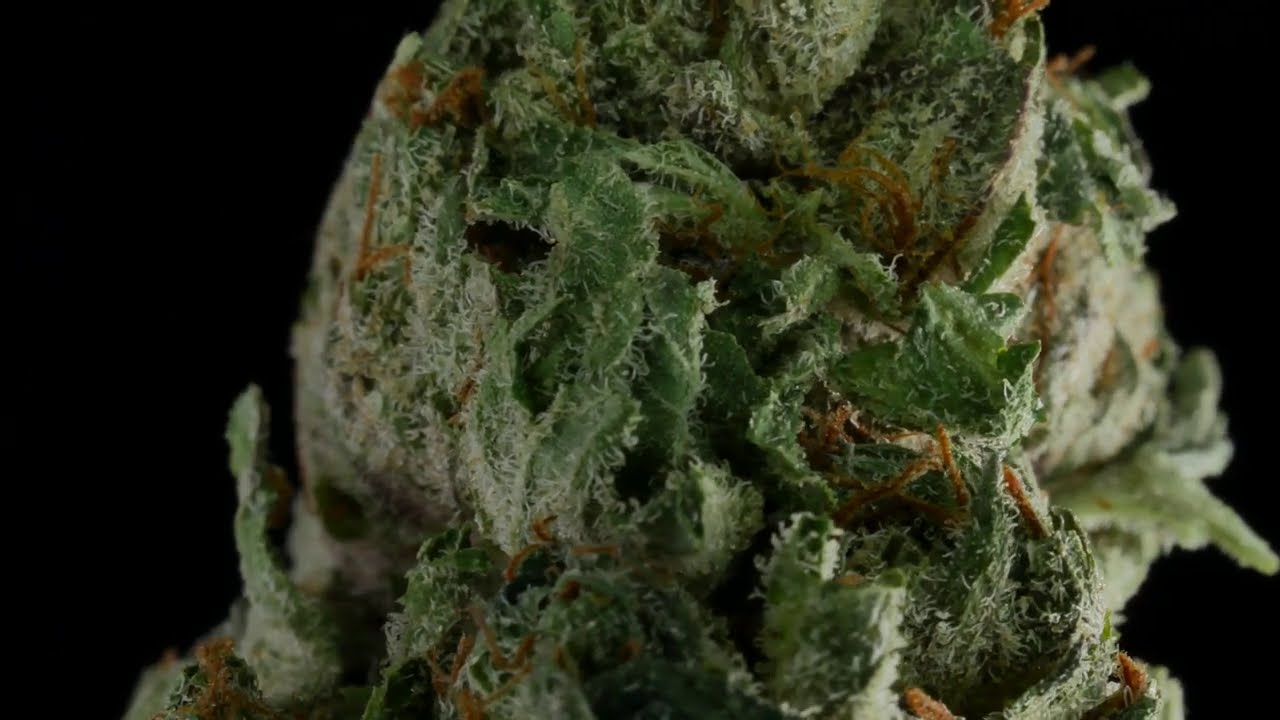 4K Cannabis 020 - Farm Assist