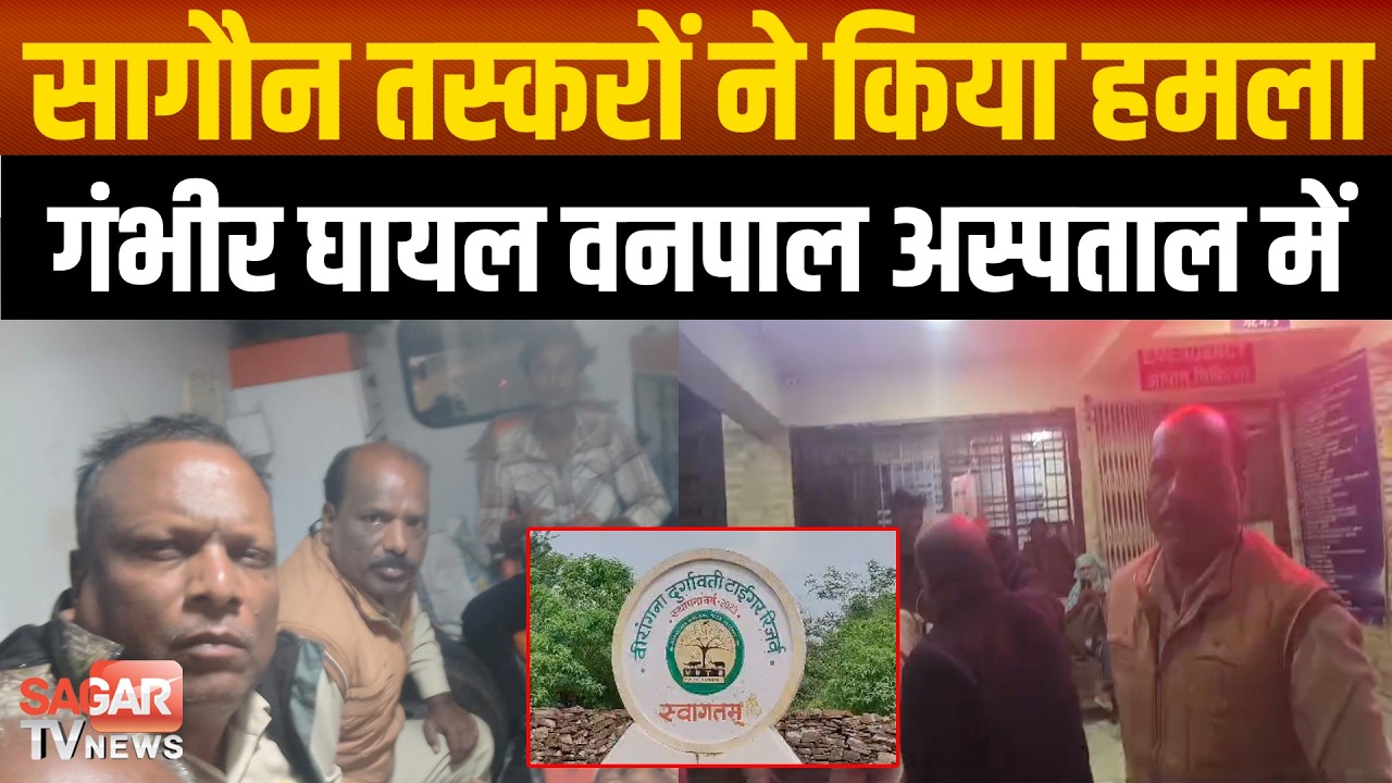 Sagar- वनपाल पर ह'मला, अस्पताल में भर्ती, जंगल में सागौन तस्करों पकड़ने गए  | SAGAR TV NEWS |