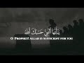 Surah Al Anfal 64 65 By Muhammad Al Luhaidan 