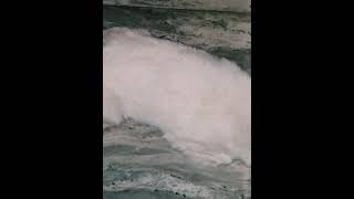 He Accidentally Stuck His Head Under Bed