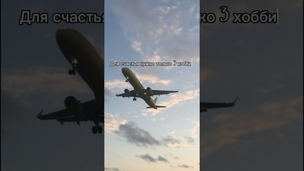 Для счастья нужно 3 хобби. 1.учеба2.физическая активность3.работа    