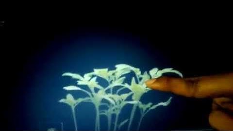 intuigine technologies