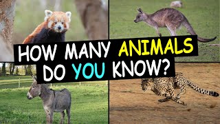 Guess The Animal in 3 Seconds | 100 Random Animals | How Many Animals Do You Know?