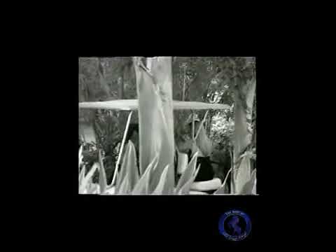 منسي باسل العزيز باسل العزيز