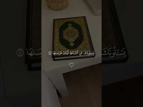 يا رب انت ربي ورب المستضعفين