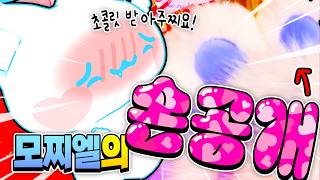 고고프렌즈 멤버들에게 줄 초콜릿 만들기!! 모찌엘 마음을 받아주찌요!!