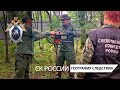 География следствия: Московская область