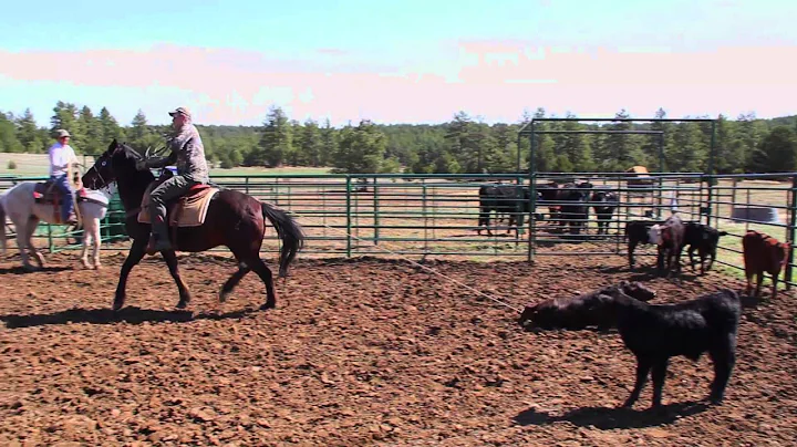 Fred Eichler Roping Cattle