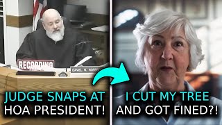 JUDGE EXPOSES HOA PRESIDENT FOR MESSY LAWSUIT You Came Unprepared For Court