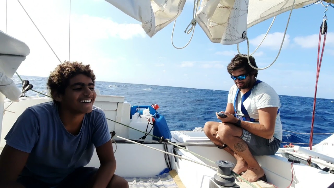 Ah quand même des dauphins! sur Pahi 31 wharram