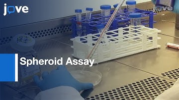 Spheroid Assay: Measure TGF-β-Induced Invasion-Preview