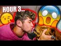 KISSING MY DOG 25,000 TIMES! LIVE!