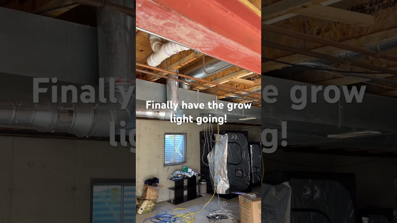 Cannabis grow light activated! It was a long journey of redirecting to get here. 