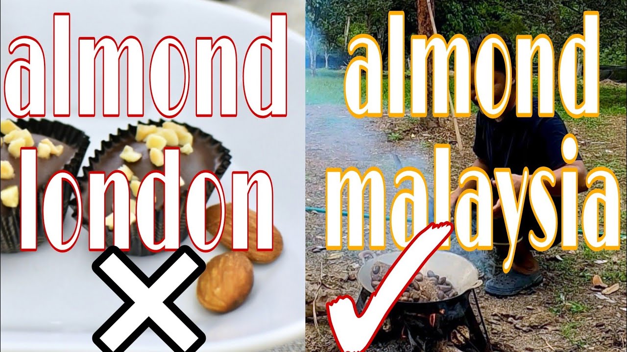 Buah Perah Hutan Unik Dan Sedap Youtube